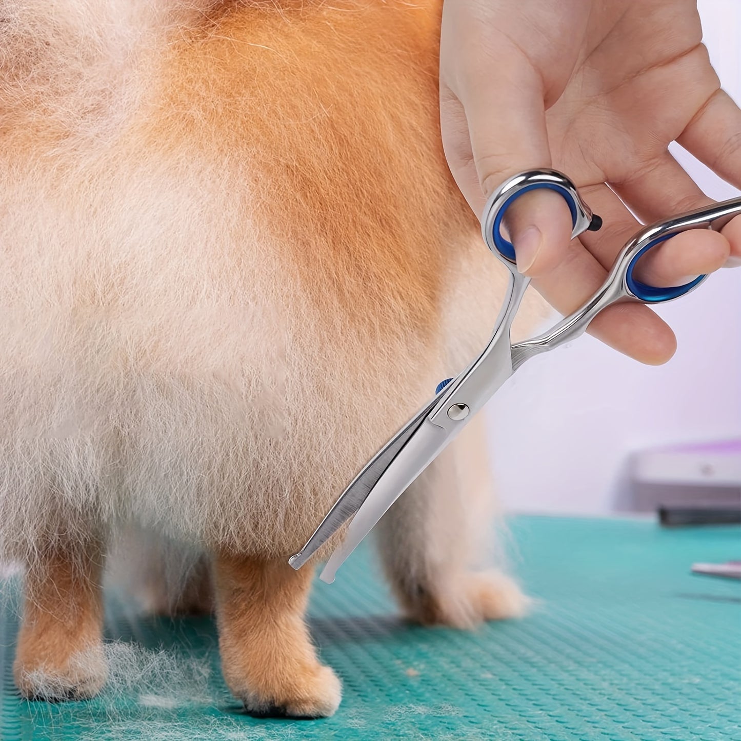 Conjunto de tesouras para tosquias para animais de estimação com ponta redonda de segurança, tesouras para tosquias para cães e gatos, tesouras para tosquias em aço inoxidável para cães e gatos (tesoura curva)