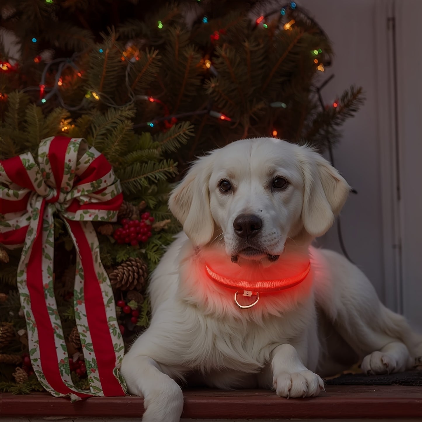 Coleira LED que brilha no escuro para cães pequenos e médios – Mantenha seu animal de estimação seguro e visível durante caminhadas noturnas