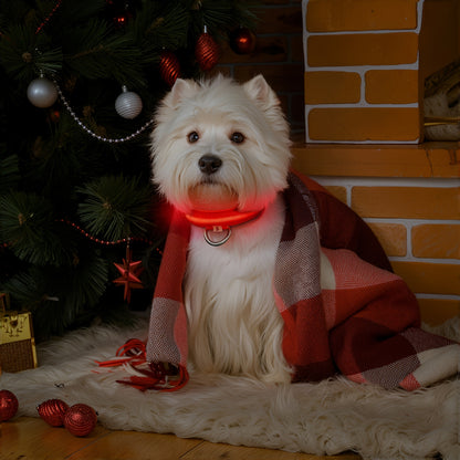 Coleira LED que brilha no escuro para cães pequenos e médios – Mantenha seu animal de estimação seguro e visível durante caminhadas noturnas