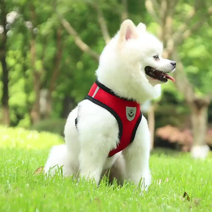 Conjunto de arnês e trela reflexivos para animais de estimação para cães e gatos, arnês ajustável para colete de gato e cachorrinho com malha macia