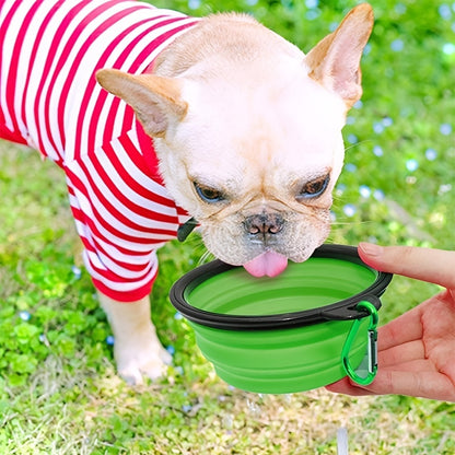 Tigela portátil para comida de animais de estimação: tigela TPR dobrável e durável para cães e gatos